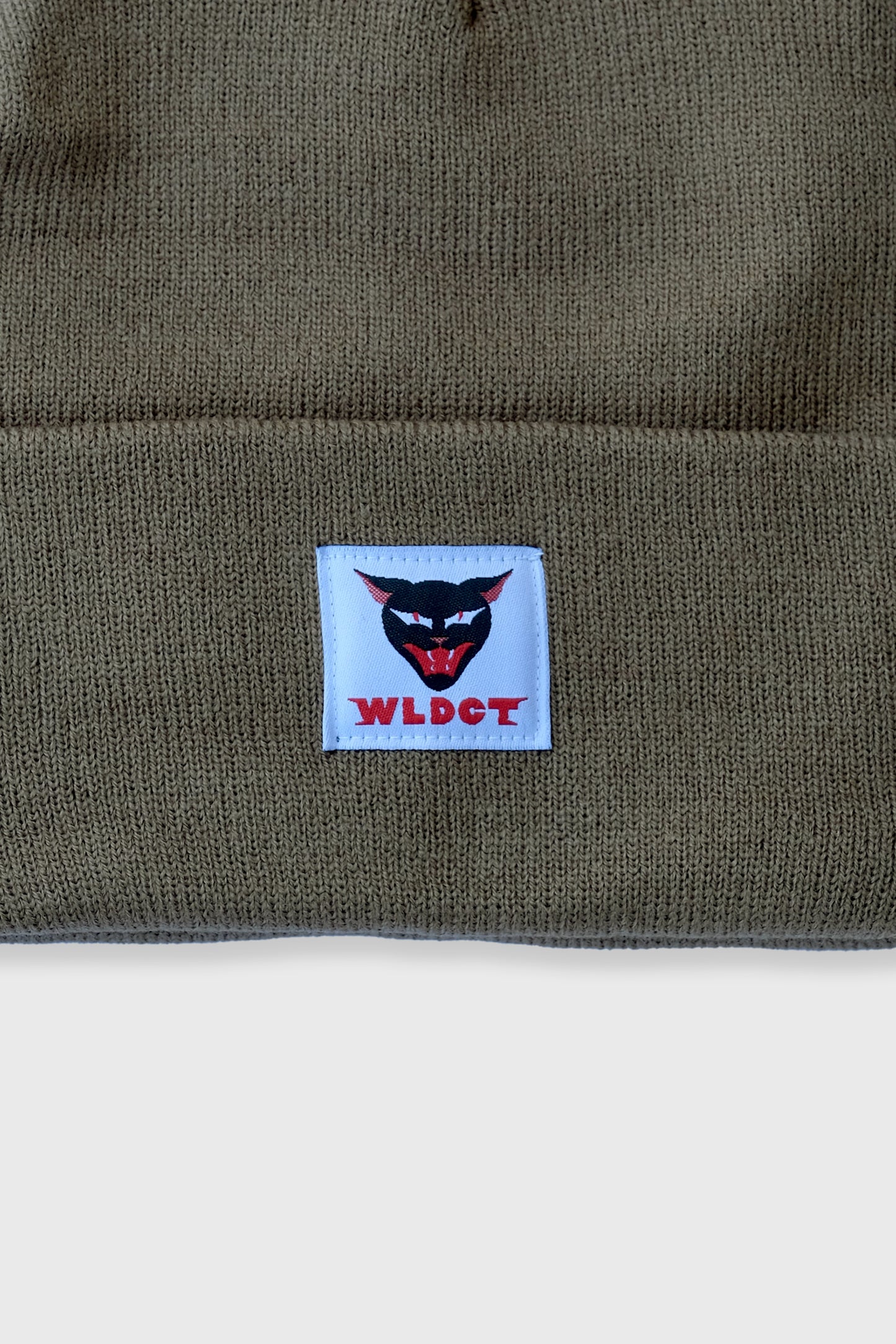 Coyote WLDCT x Luke Thomas 'Cathartt' Beanie