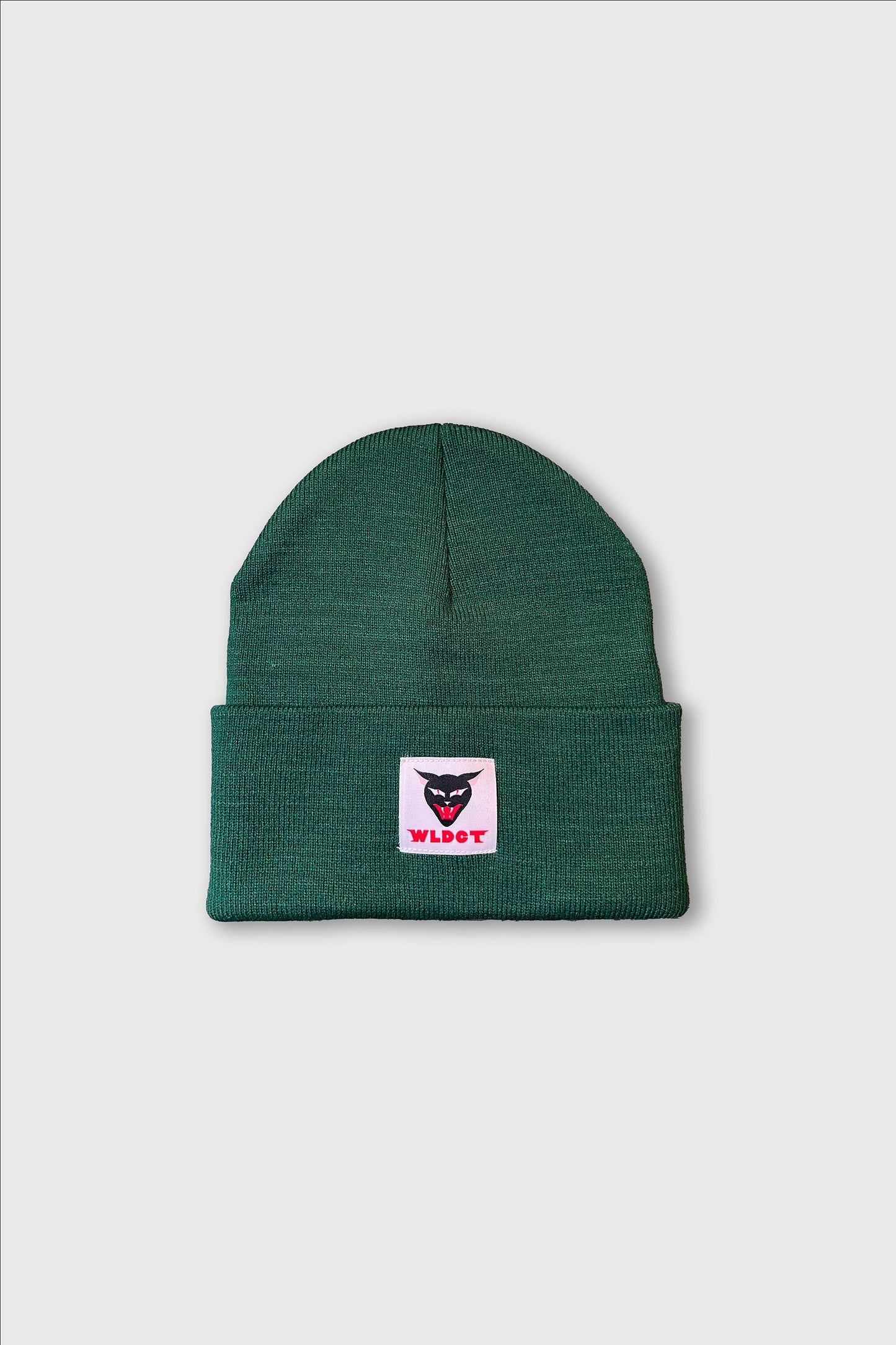 Green WLDCT x Luke Thomas 'Cathartt' Beanie